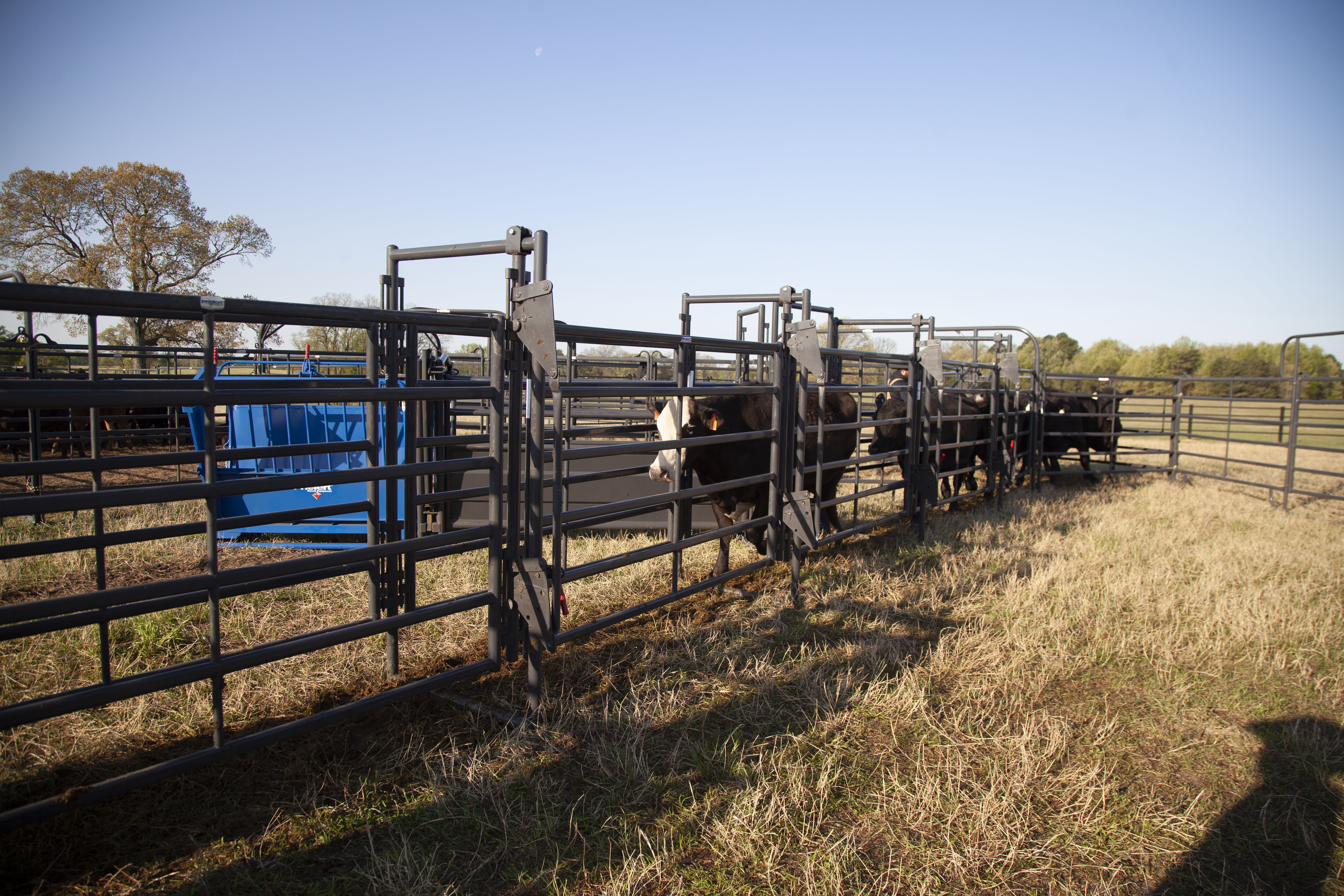 Premier System Adjustable Alley 30.jpg